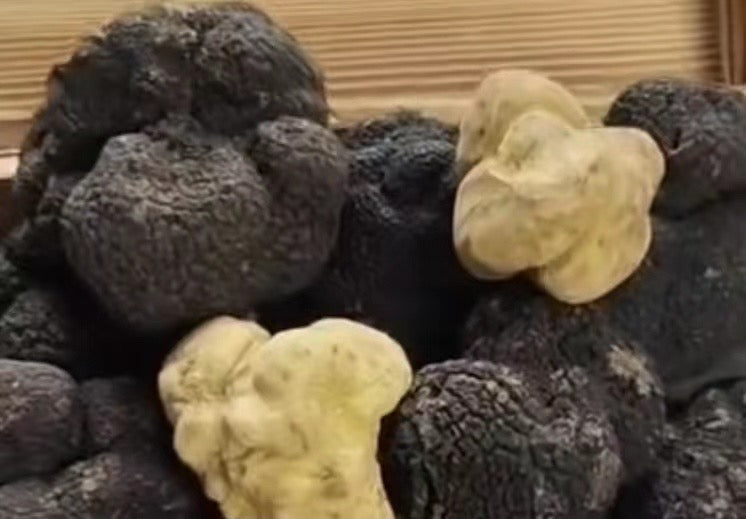 Spoon Shock truffle ingredient