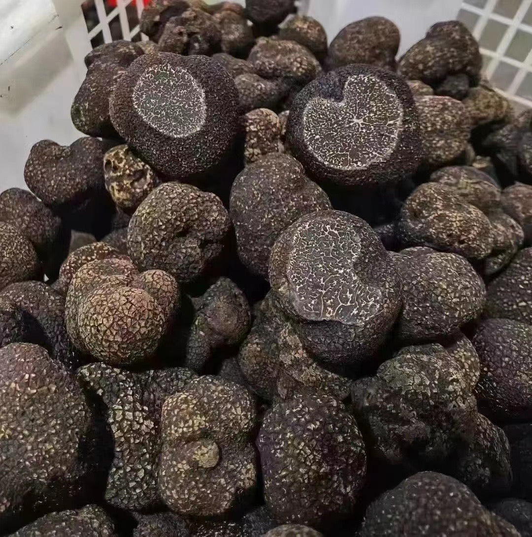 Fresh Winter Black Truffles Whole Sale (6 cm +)