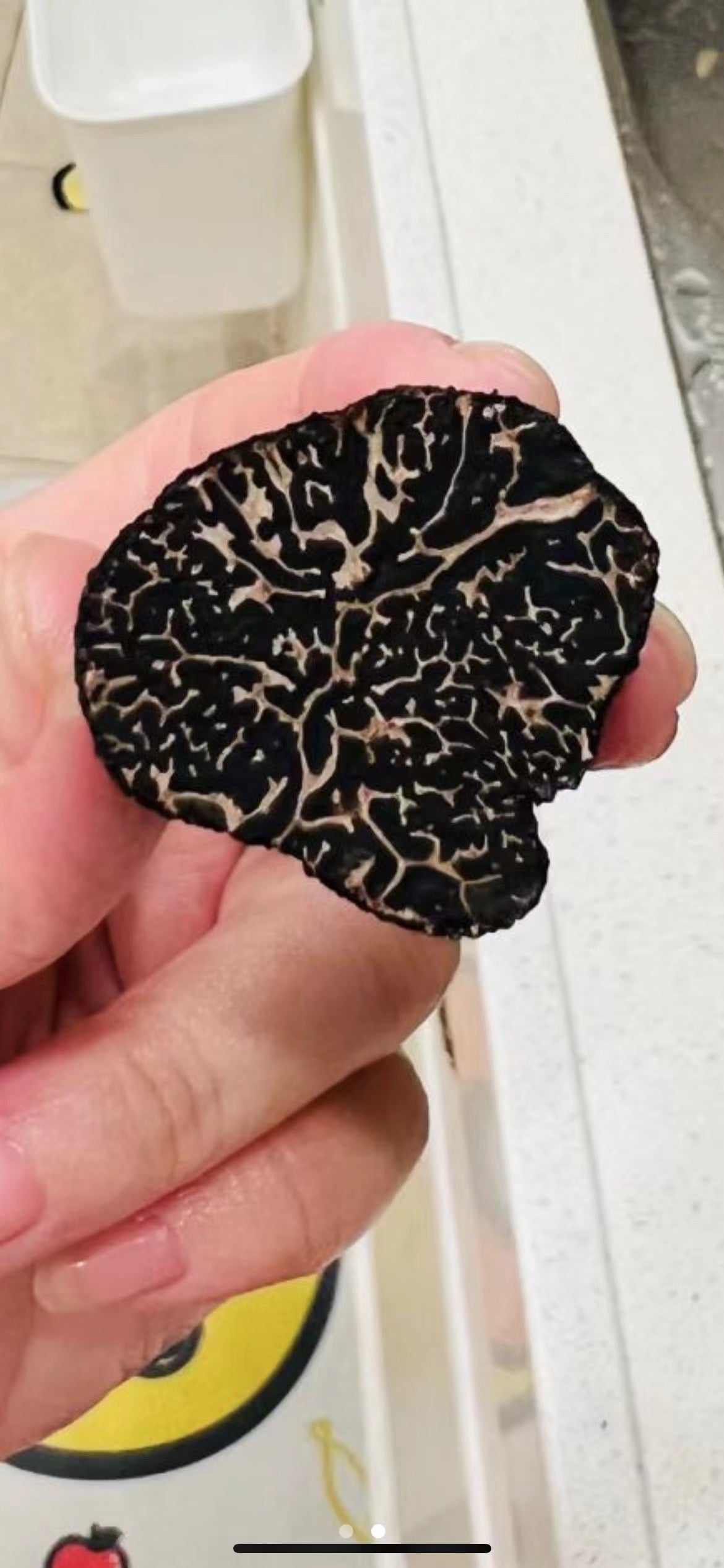 Promotional Sample (3 oz), Fresh Winter Black Truffles (4-5 cm)