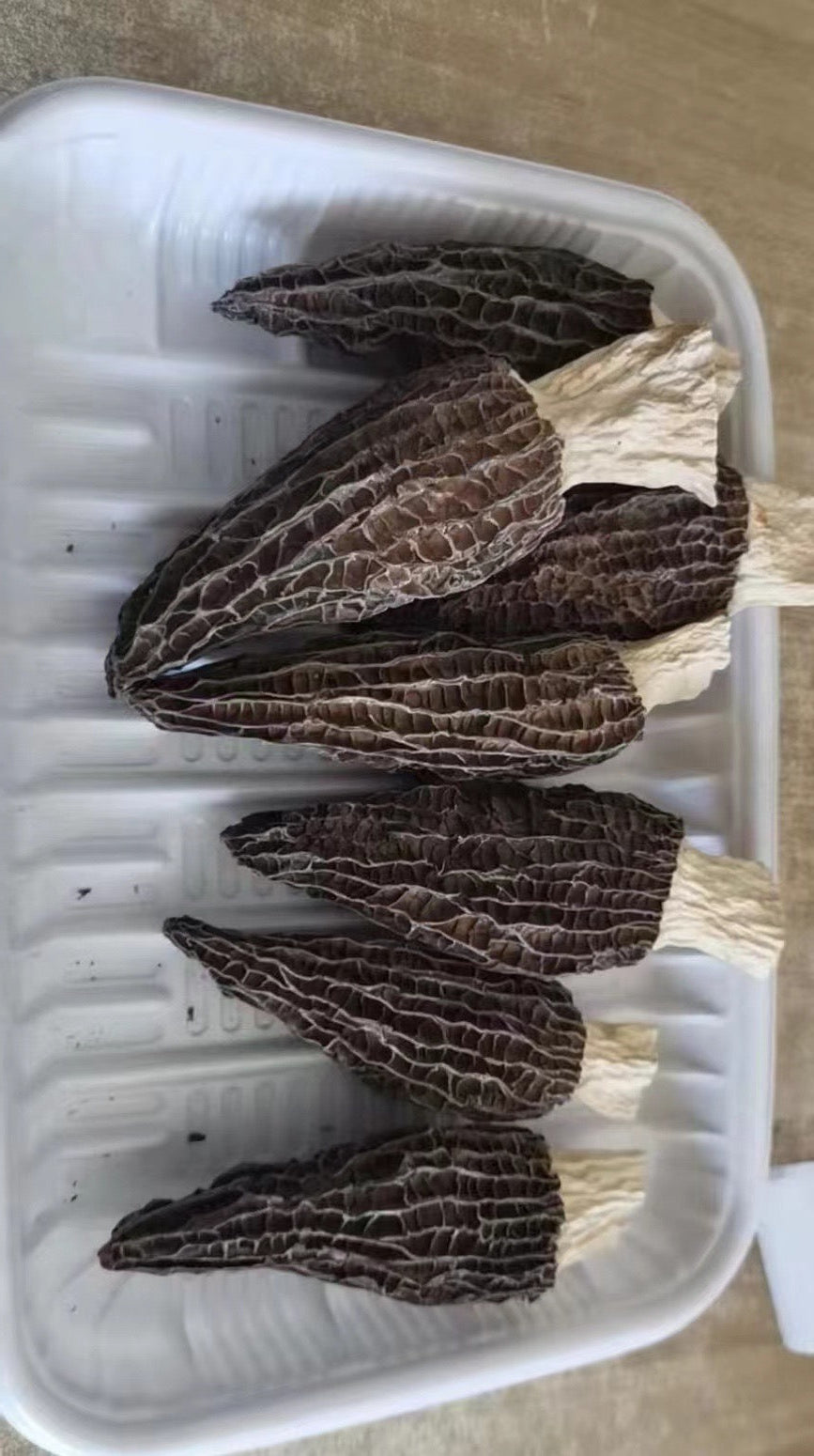 Premium Dried Morel Mushrooms