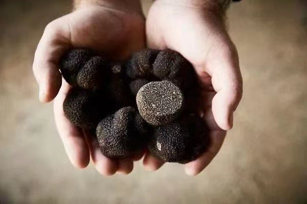 Promotional Sample (3 oz), Fresh Winter Black Truffles (3-4 cm)