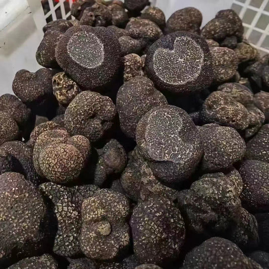 Fresh Winter Black Truffles Whole Sale (2-3 cm)