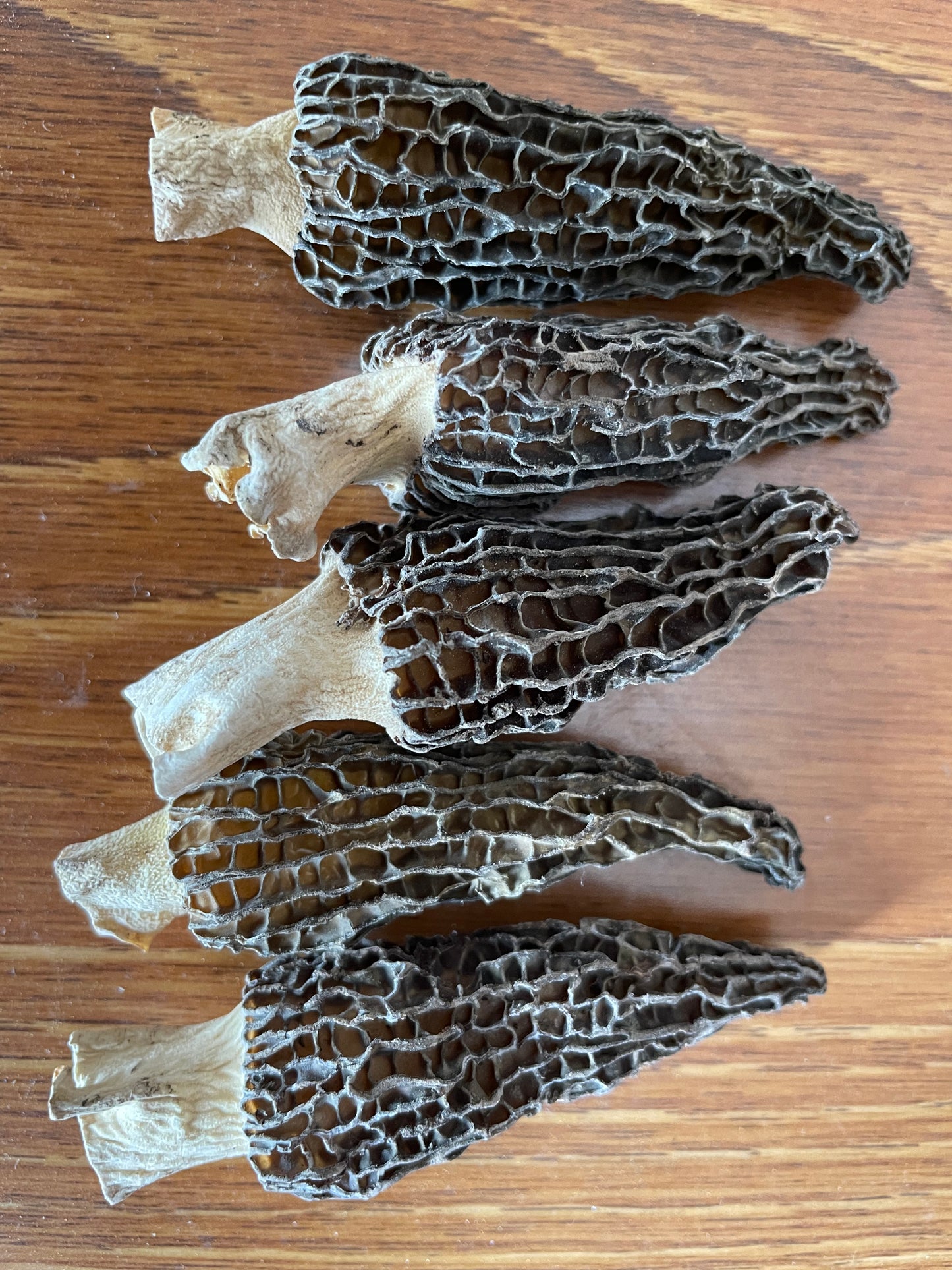 Premium Dried Morel Mushrooms